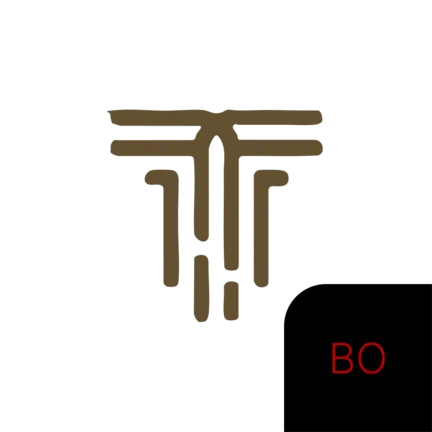 TuranBackoffice Splash Logo